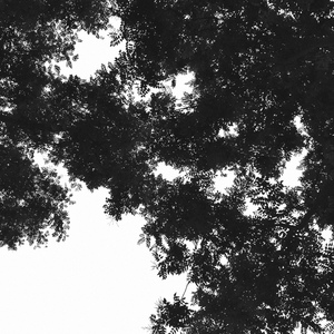 男女疯狂操逼视频
